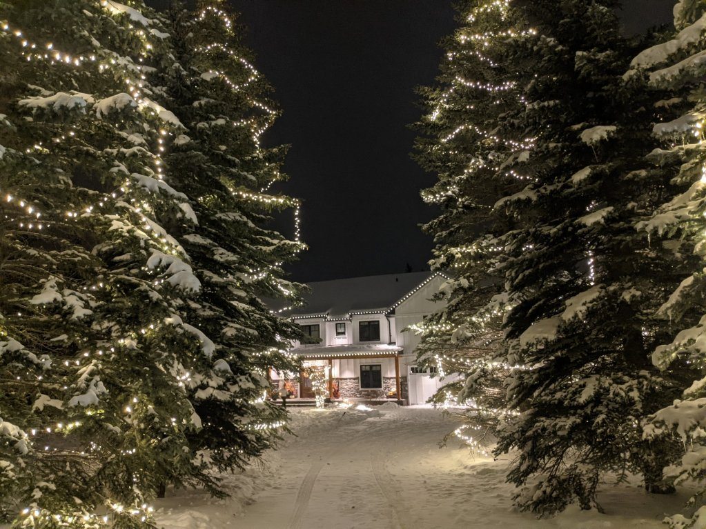 Home lit among snowy evergreens